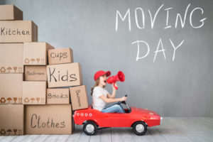 best moving company auckland